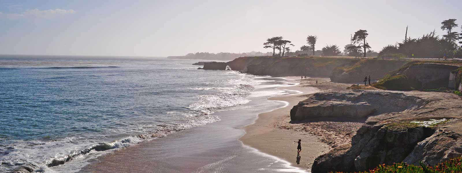 Beach scene in Santa Cruz